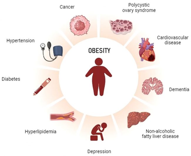 fendo-15-1349794-g001