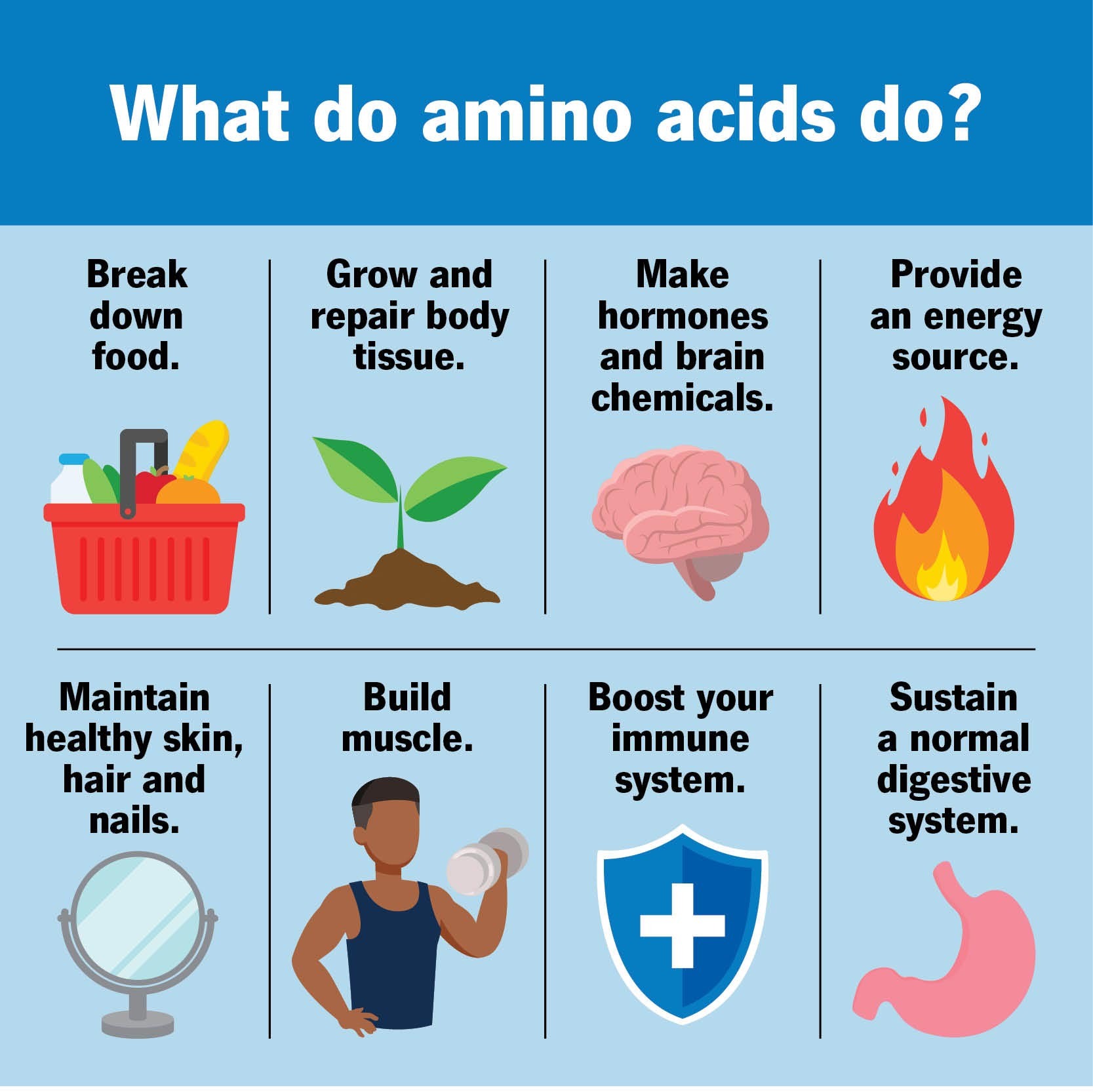 Benefits of Amino Acid